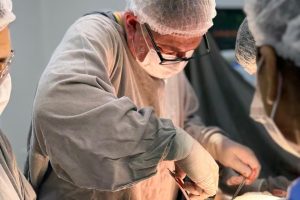 WhatsApp Image 2026-04-01 at 20.25.47